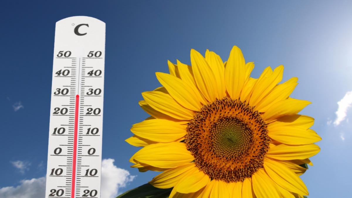 Der Sommer meldet sich p&uuml;nktlich zum Wochenende zur&uuml;ck. (Foto)