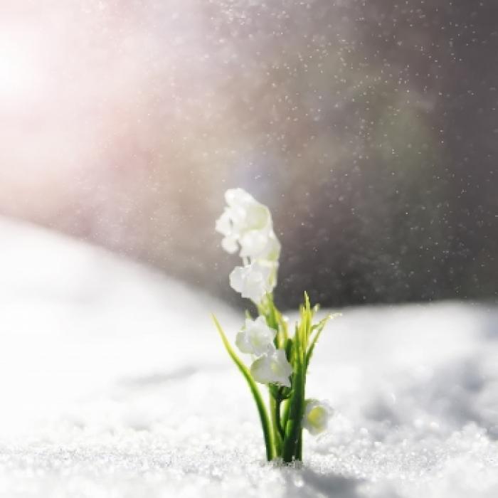 Warnung vor Schnee oder Eis! Der Ausblick aufs Wetter