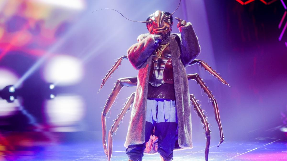 Wer sich hinter der Kakerlake verbirgt, wurde in der dritten Live-Show von "THe Masked Singer" 2020 enth&uuml;llt. (Foto)