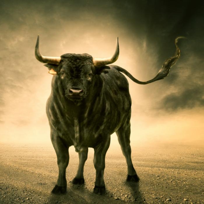 Stier durchbricht Barrikade und zerfetzt Mann