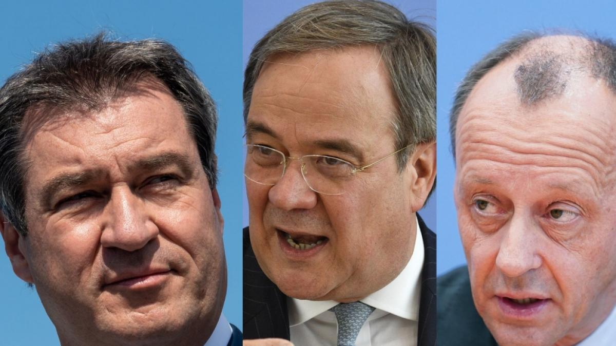 Wer w&auml;re der beste Kanzlerkandidat? Kanzleramtschef Helge Braun hat da so eine Ahnung ... (Foto)