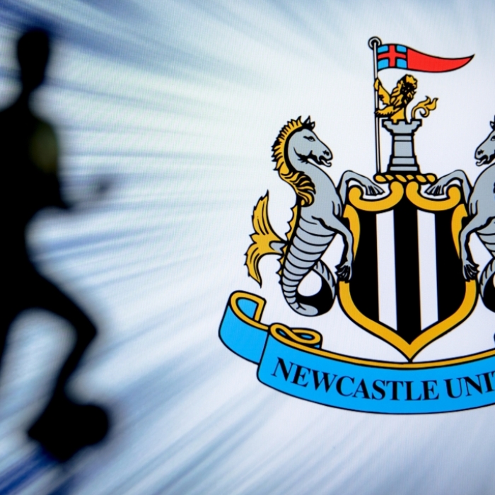 FC Fulham verliert gegen Newcastle