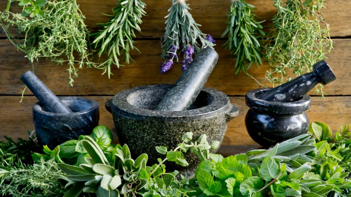 Der Hexengarten verbindet Natur, Spiritualit&auml;t und alte Pflanzenkunde. (Foto)