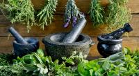 Der Hexengarten verbindet Natur, Spiritualität und alte Pflanzenkunde.