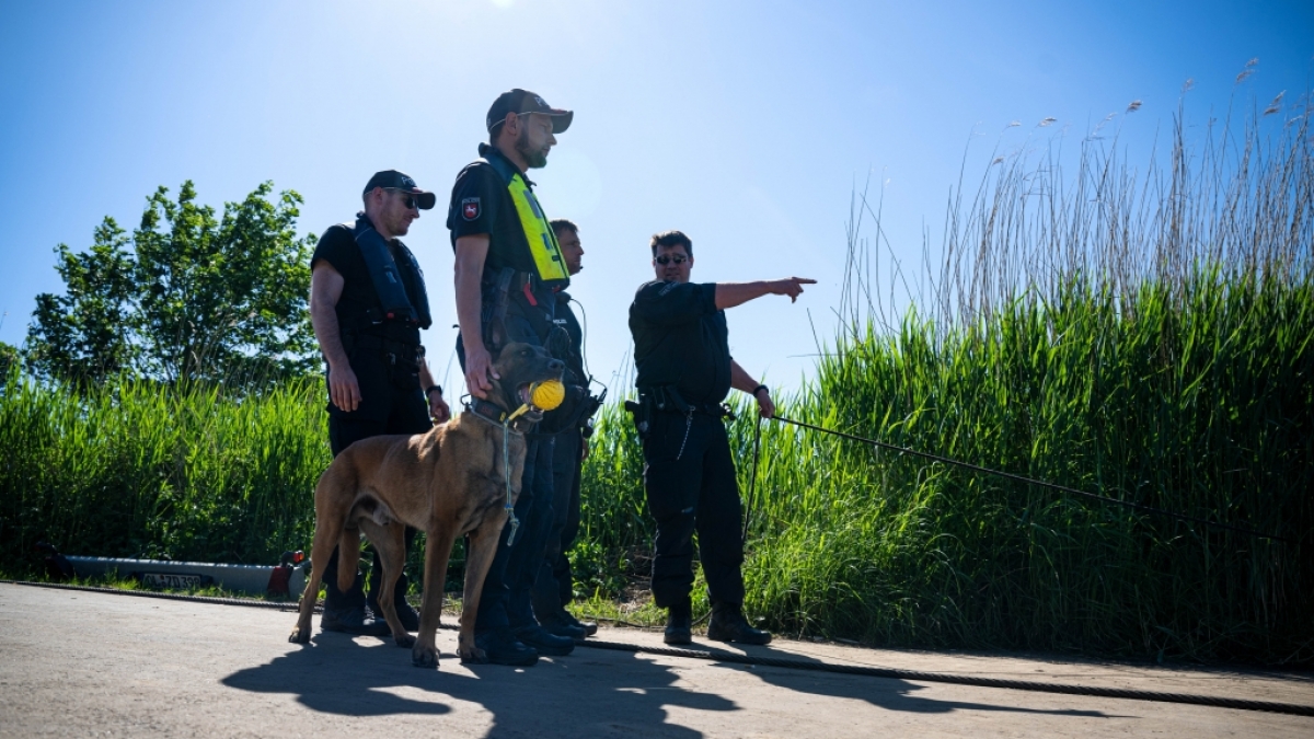 Die Polizei informiert &uuml;ber eine Vermisstenmeldung (Symbolbild). (Foto)