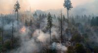 Schon kleine Funken können für trockene Wälder brandgefährlich werden.