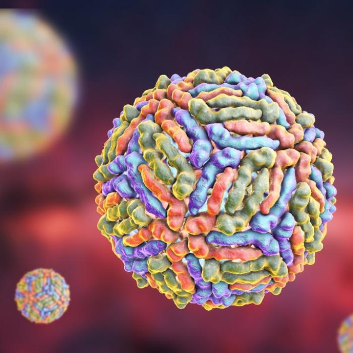Angst vor neuer Pandemie? Tropen-Virus in den USA nachgewiesen