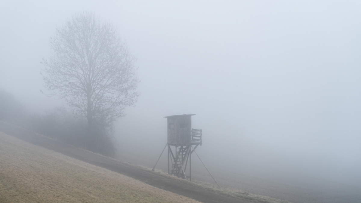Der DWD warnt vor m&ouml;glichem Nebel (Symbolbild). (Foto)