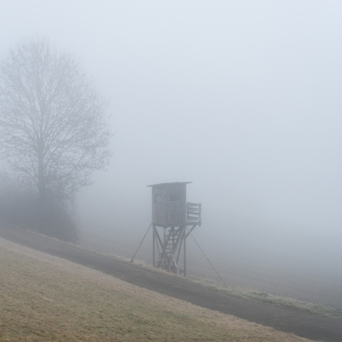 Der DWD warnt vor möglichem Nebel (Symbolbild).
