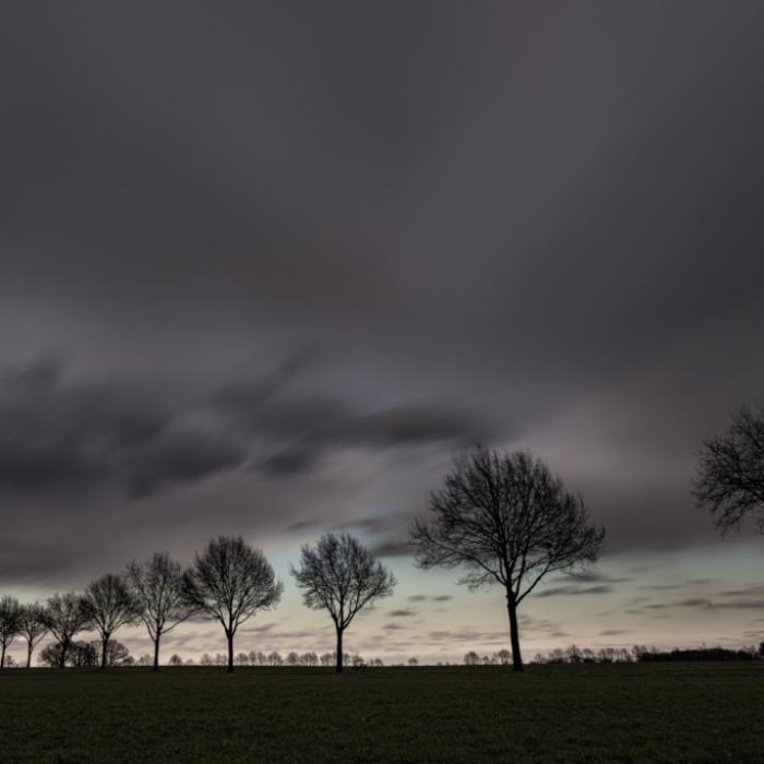Heftiger Wetter-Mix am Wochenende! DWD warnt vor Starkregen und Gewitter