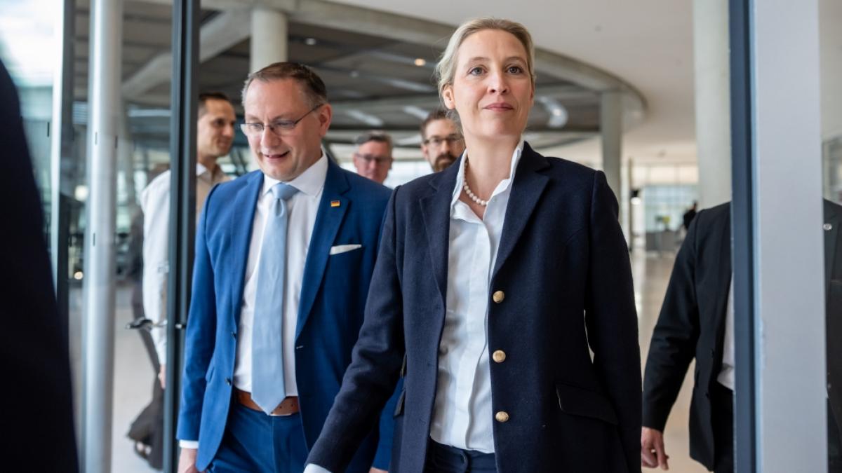Der AfD-Abgeordnete Manuel Krauthausen richtete sich mit einem Brandbrief an die Parteispitze. (Foto)