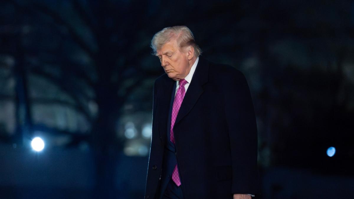 Mehr als acht Millionen Menschen demonstrierten am Wochenende gegen Donald Trump. (Foto)