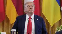 Was plant Donald Trump?