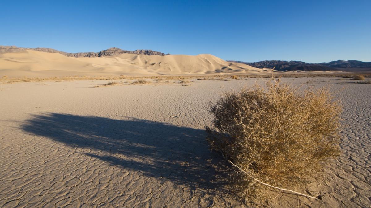 Larry und Betty Petree wurden tot in der Mojave-W&uuml;ste aufgefunden. (Foto)