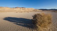 Larry und Betty Petree wurden tot in der Mojave-Wüste aufgefunden.