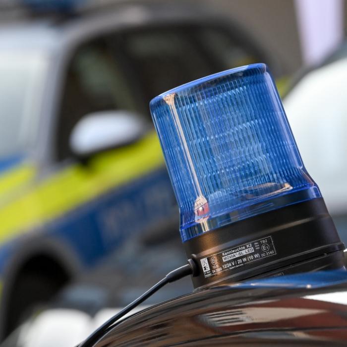 Vater und Sohn (5) tot im Wald entdeckt - Kripo ermittelt