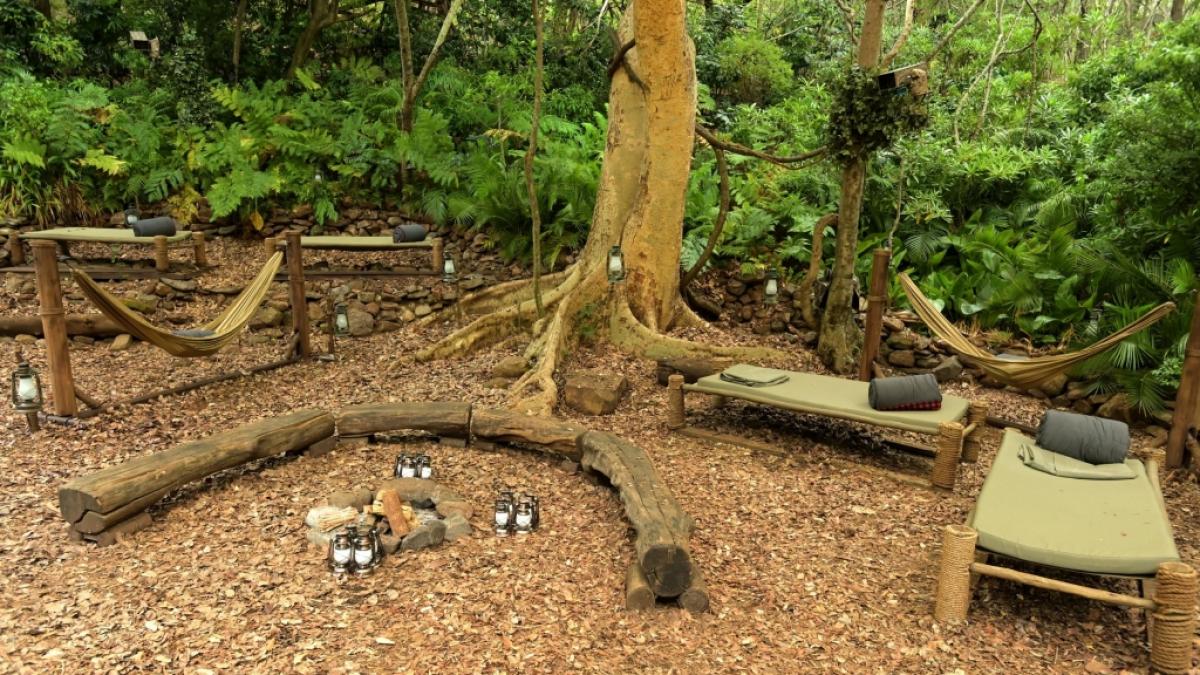 Im kommenden Jahr kehrt das RTL-Dschungelcamp nach Australien zur&uuml;ck. (Foto)
