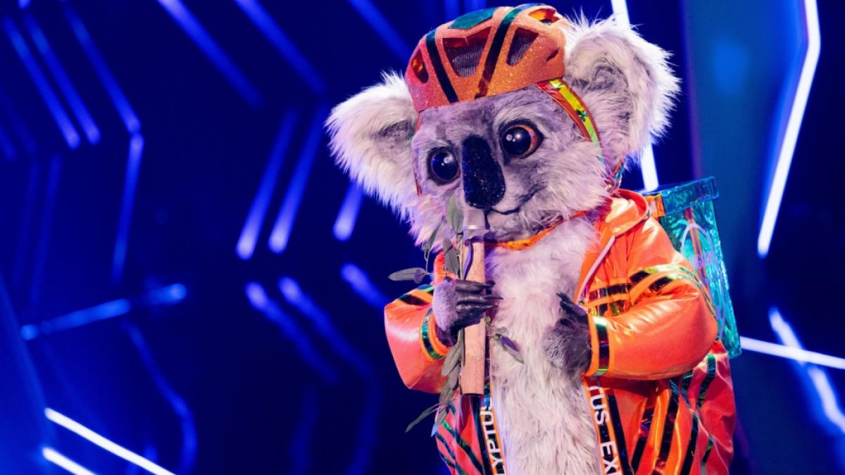 F&uuml;r den putzigen Koala von "The Masked Singer" war in Show 3 Schluss - die Maske musste fallen. (Foto)