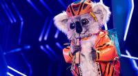 Für den putzigen Koala von 