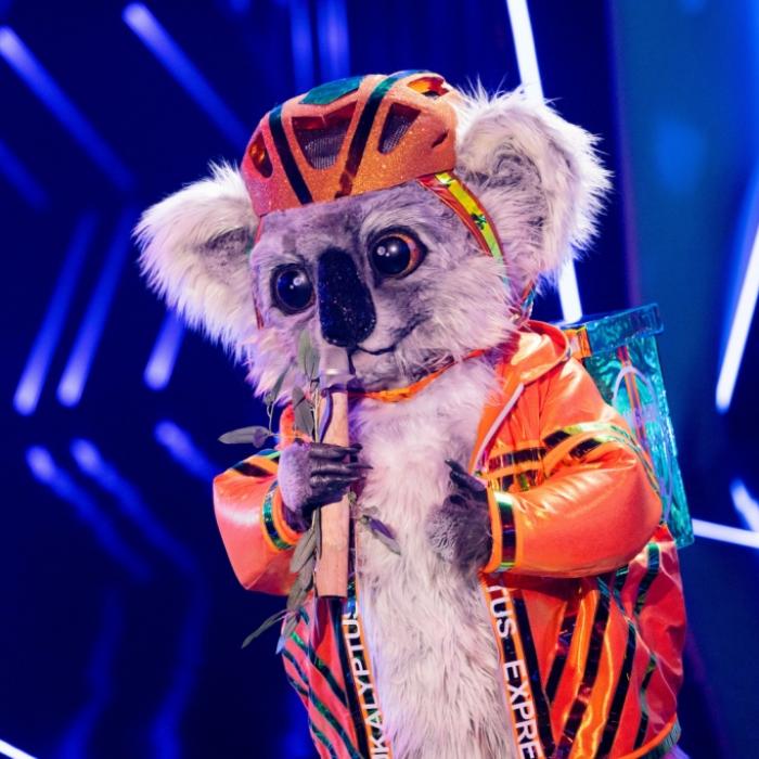 Haste Töne?! DIESER Opernstar steckte im Koala-Kostüm
