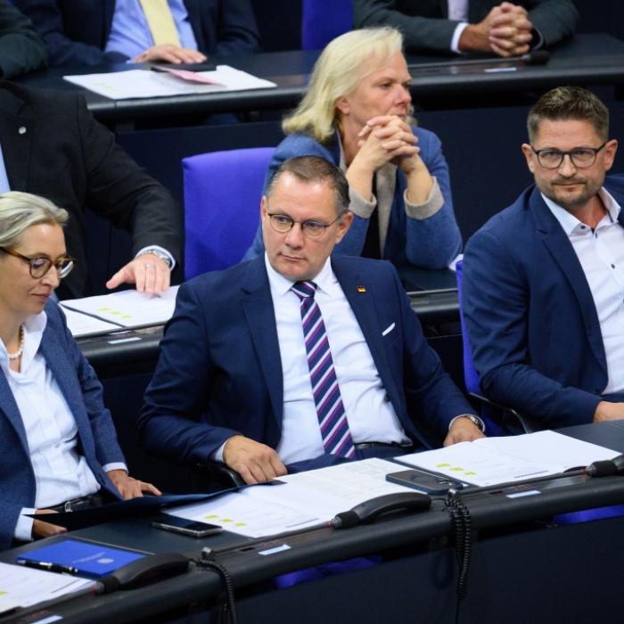 Absolute Mehrheit in Sicht – aber die AfD weiß nicht, wie sie regieren soll