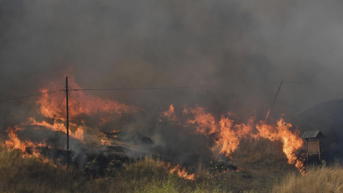 Flammen breiten sich in der Gemeinde Blufi aus. Sizilien, Sardinien, Kalabrien und auch Mittelitalien wurden von Waldbr&auml;nden schwer getroffen. (Foto)