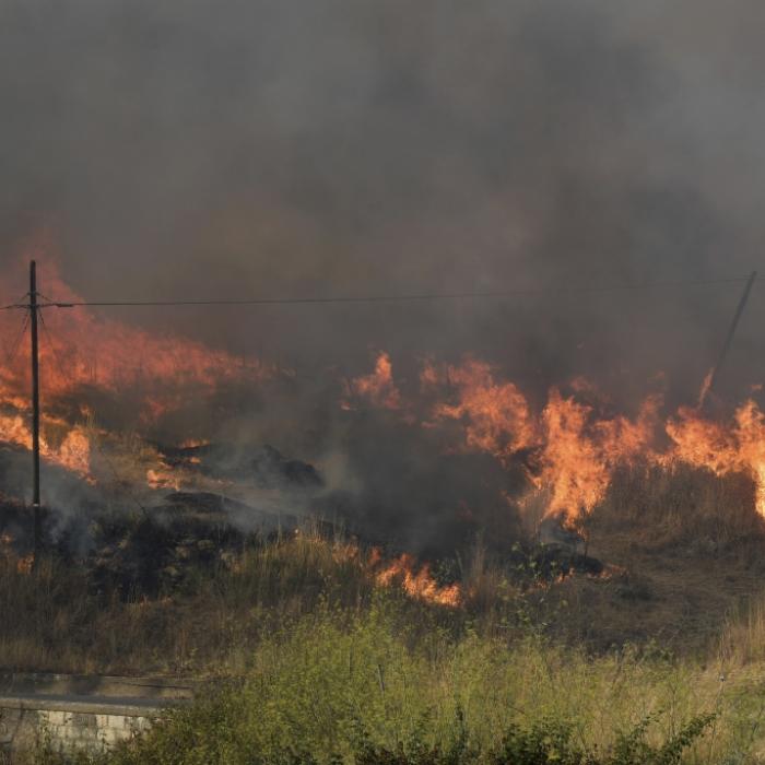 Feuerwalze frisst sich durch Italien und Griechenland - mehrere Tote