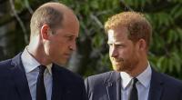 Prinz Harry und Prinz William sind längst nicht mehr das innig vertraute Brüderpaar vergangener Zeiten - angeblich spielte Eifersucht eine gewichtige Rolle im Bruderzwist.