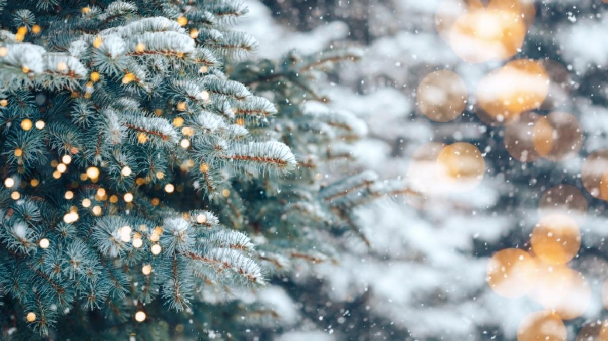 Der Hundertj&auml;hrige Kalender verr&auml;t, wie das Wetter im Dezember werden k&ouml;nnte. (Foto)