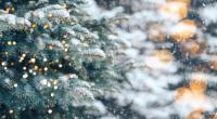 Der Hundertjährige Kalender verrät, wie das Wetter im Dezember werden könnte.