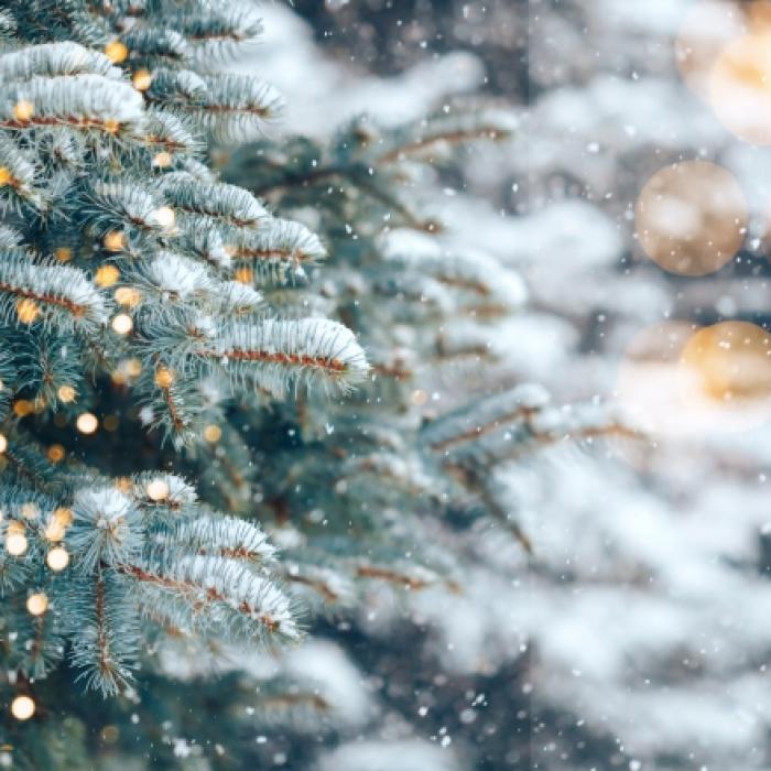 Weiße Weihnachten? Das sagt der 100-jährige Kalender voraus