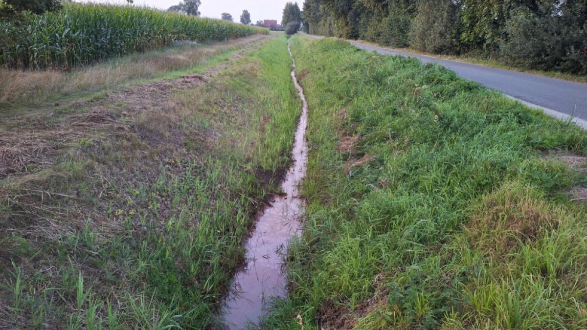 In diesem Stra&szlig;engraben im nieders&auml;chsischen Barenburg wurde die Leiche einer 17-J&auml;hrigen entdeckt. (Foto)