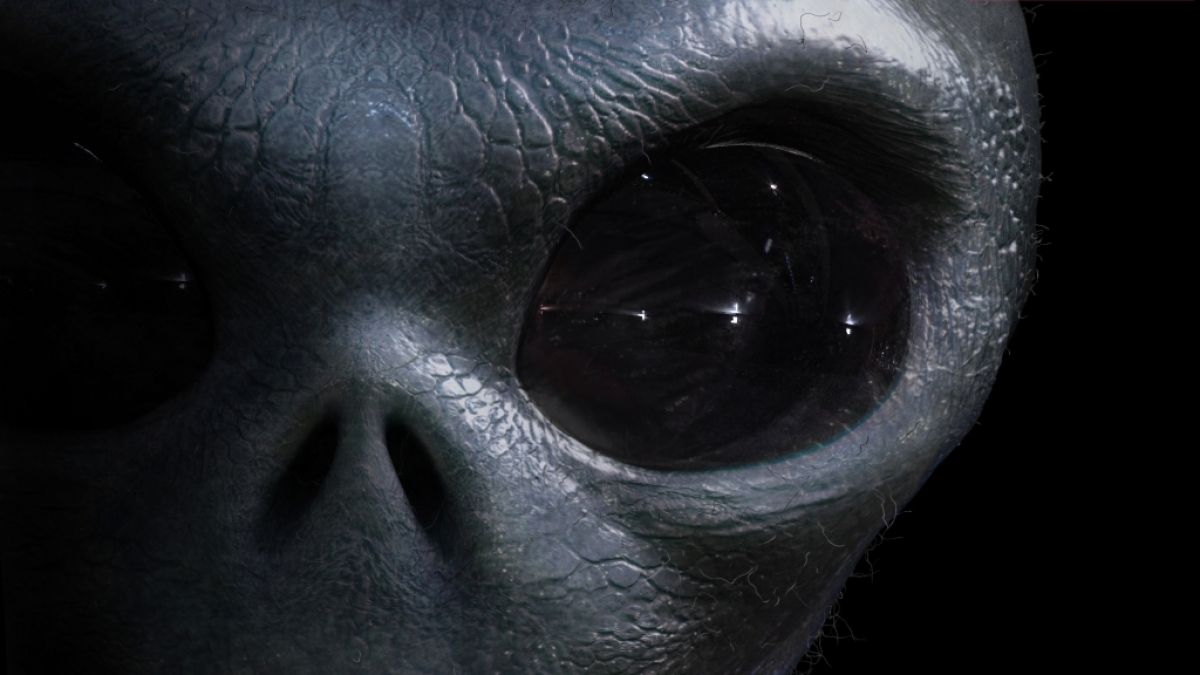 Im Kaukasus stie&szlig;en Arch&auml;ologen auf ein mysteri&ouml;ses Skelett, das an ein Alien erinnerte (Symbolfoto). (Foto)