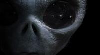 Im Kaukasus stießen Archäologen auf ein mysteriöses Skelett, das an ein Alien erinnerte (Symbolfoto).