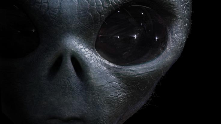 Im Kaukasus stießen Archäologen auf ein mysteriöses Skelett, das an ein Alien erinnerte (Symbolfoto).