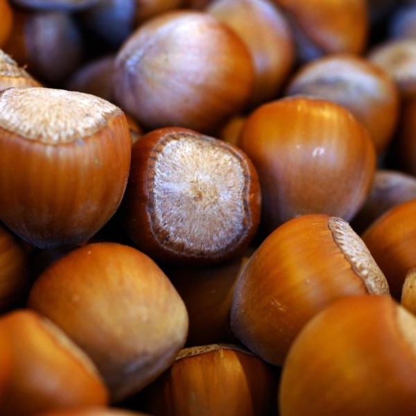 Vorsicht, Schimmel! DIESE Nüsse sind mit Schadstoffen belastet