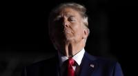 Donald Trump will zum zweiten Mal US-Präsident werden, doch seine Nichte Mary Trump hat etwas dagegen.