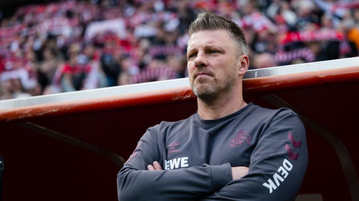 Lukas Kwasniok ist nicht mehr Trainer des 1. FC K&ouml;ln. (Foto)