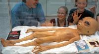 Sah so die außerirdische Lebensform aus, die 1947 in Roswell im US-Bundesstaat New Mexiko mit einem Ufo abstürzte?