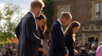 Prinz Harry, Meghan Markle, Prinz William und Prinzessin Kate (v.l.n.r.) sorgten in dieser Woche sowohl für haarsträubende als auch erfreuliche Royals-News.