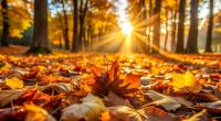 Wetter-Hammer im Herbst: Temperaturen schießen wieder auf bis zu 30 Grad.