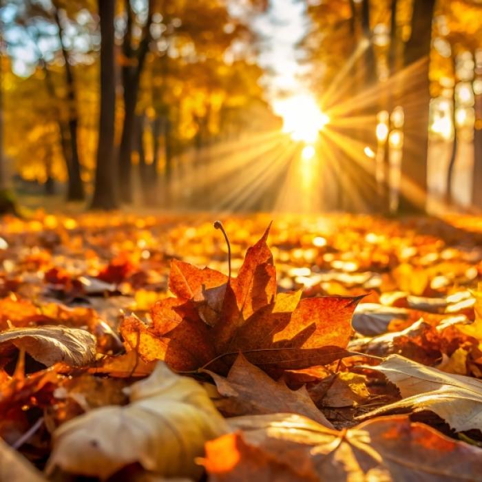 Wetter-Hammer im Herbst: Temperaturen schießen wieder auf bis zu 30 Grad.