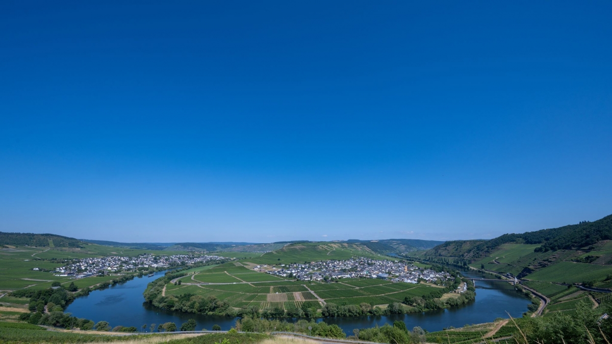 Ein wolkenloser Himmel zeigt sich &uuml;ber der Mosel und den Weinbergen bei Trittenheim (r) und Leiwen. (Foto)