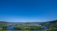 Ein wolkenloser Himmel zeigt sich über der Mosel und den Weinbergen bei Trittenheim (r) und Leiwen.