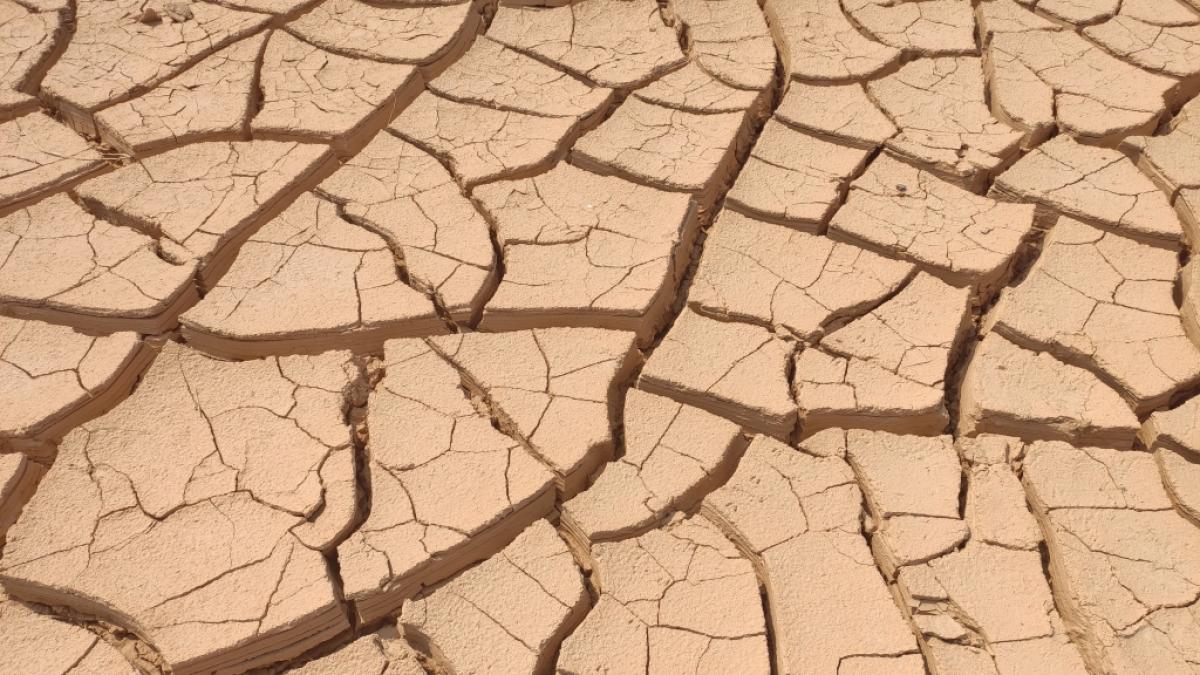 Laut Meteorologen droht uns ein hei&szlig;er D&uuml;rresommer. (Foto)
