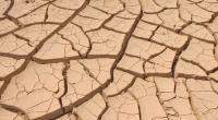 Laut Meteorologen droht uns ein heißer Dürresommer.