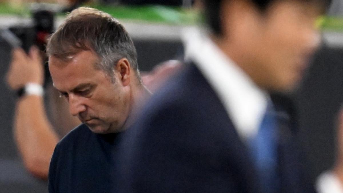 Wer k&ouml;nnte Bundestrainer Hansi Flick als Nachfolger ersetzen? (Foto)