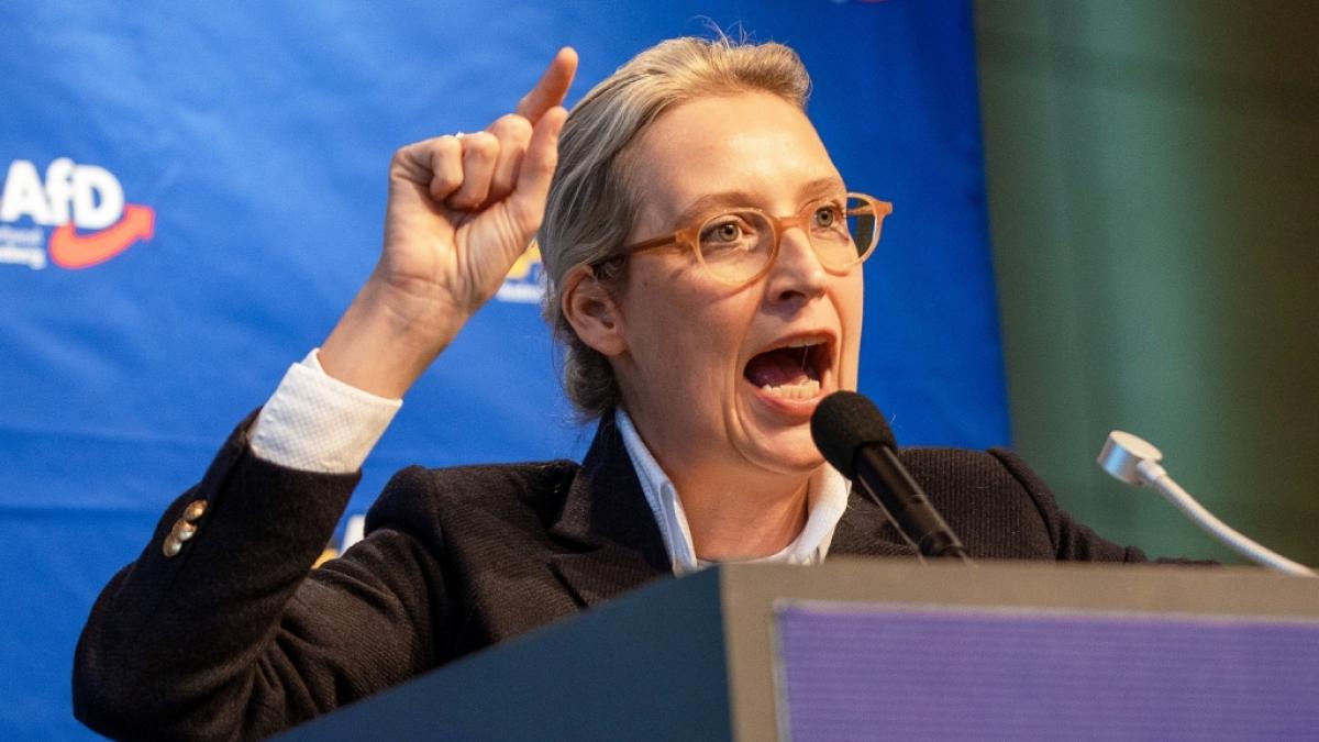 Alice Weidel, Bundessprecherin der AfD, spricht w&auml;hrend des AfD-Landesparteitags zu Parteimitgliedern. (Foto)