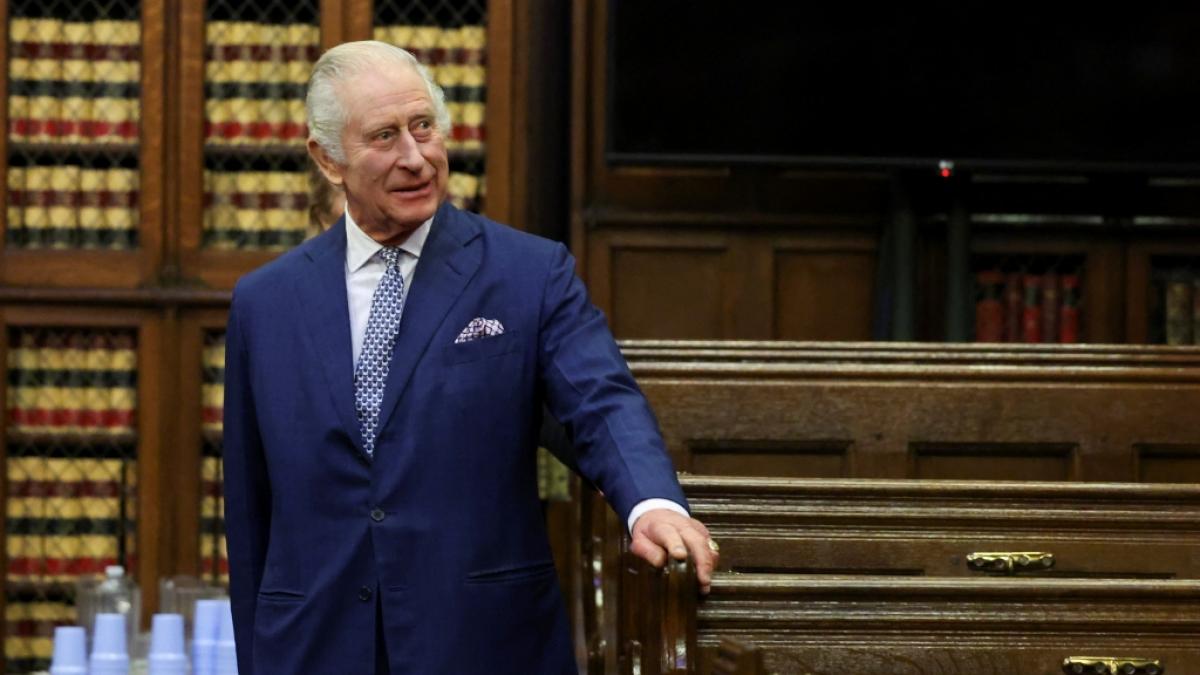 Um zu beweisen, dass K&ouml;nig Charles tats&auml;chlich sein Vater ist, fordert Simon Dorante-Day Prinz Prinz Harry zu einem DNA-Test auf. (Foto)