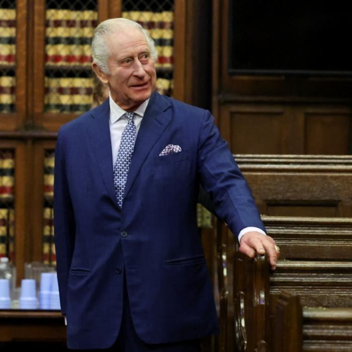 Geheimer Charles-Sohn fordert einen DNA-Vergleich von Prinz Harry